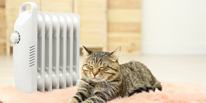 Portable Air Conditioner