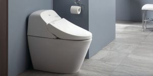 The Advantages of Modern Technology Toilet Seats Over Traditional Ones
